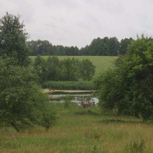 W Hremiaczach na końcu wsi jeziorko wg. informacji mieszkańców było już przed wojną